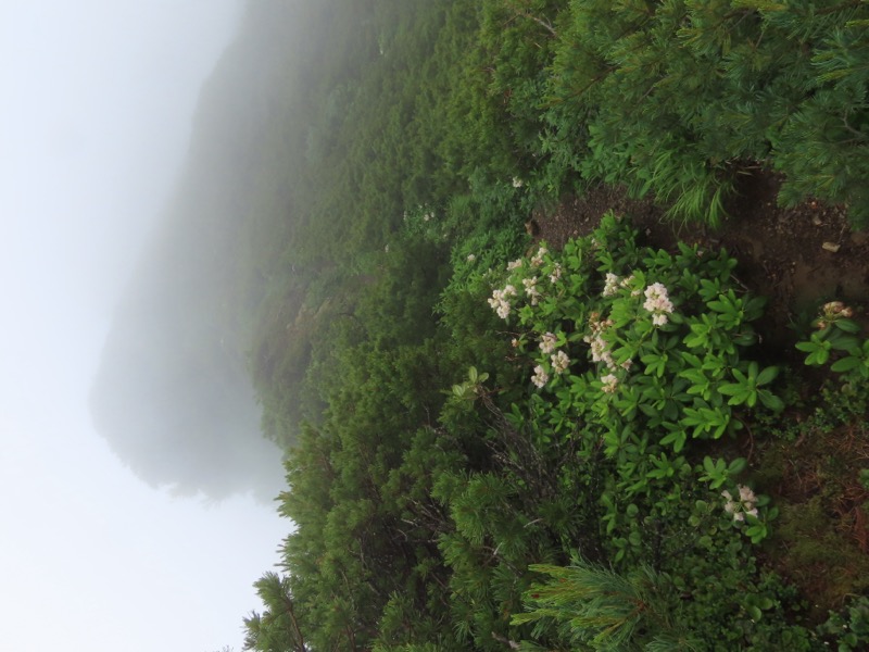 霞沢岳、上高地、明神