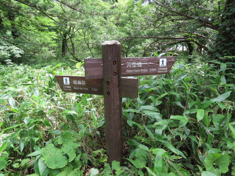 霞沢岳、上高地、明神