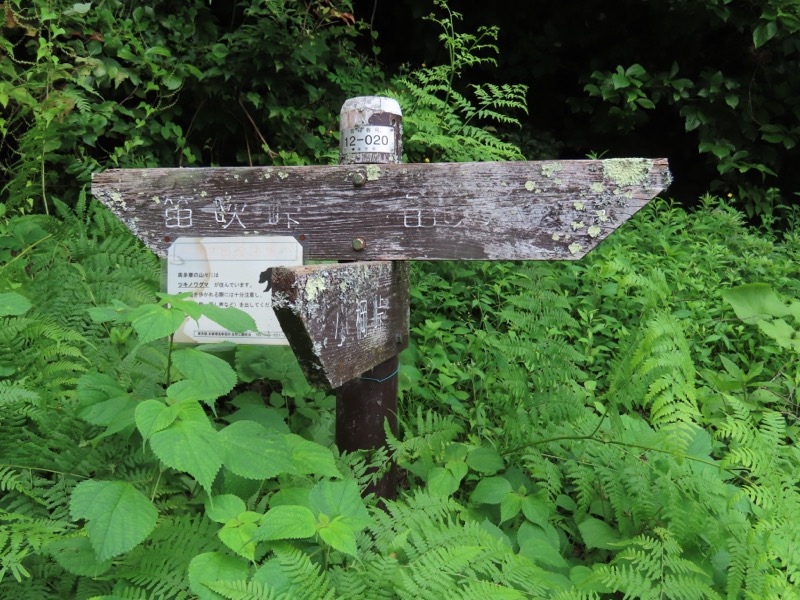 笹尾根、丸山、笛吹峠