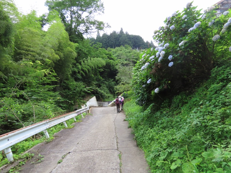 笹尾根、丸山、笛吹峠