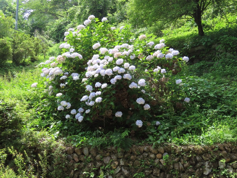 笹尾根、丸山、笛吹峠