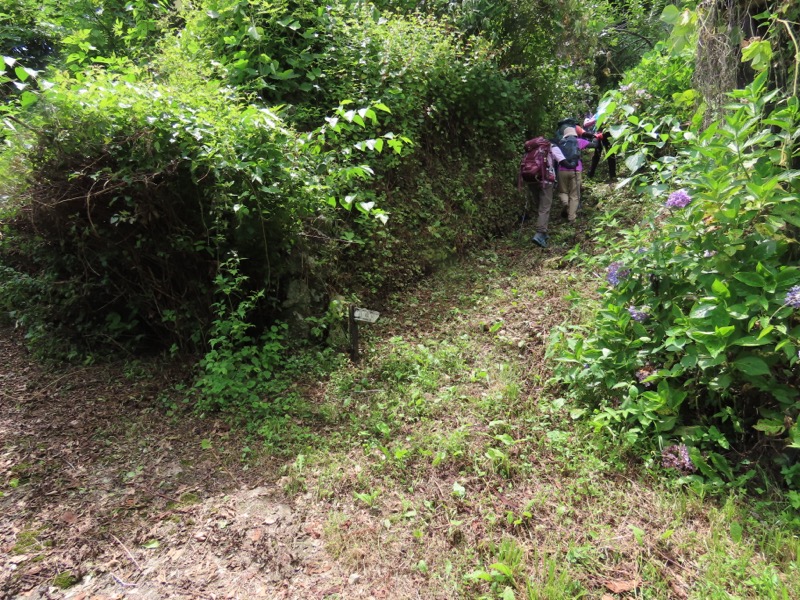 笹尾根、丸山、笛吹峠