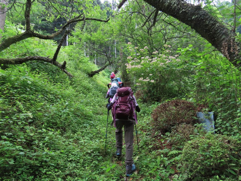 笹尾根、丸山、笛吹峠