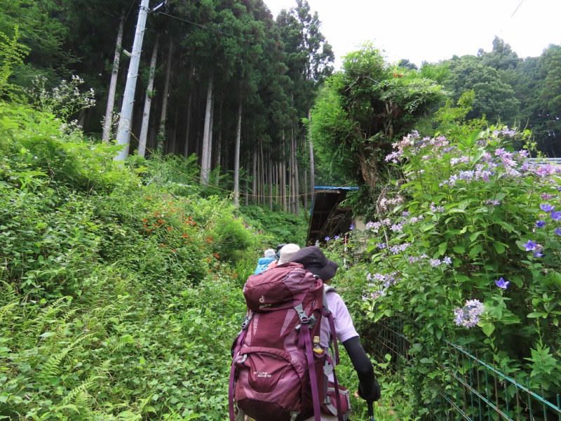 笹尾根、丸山、笛吹峠