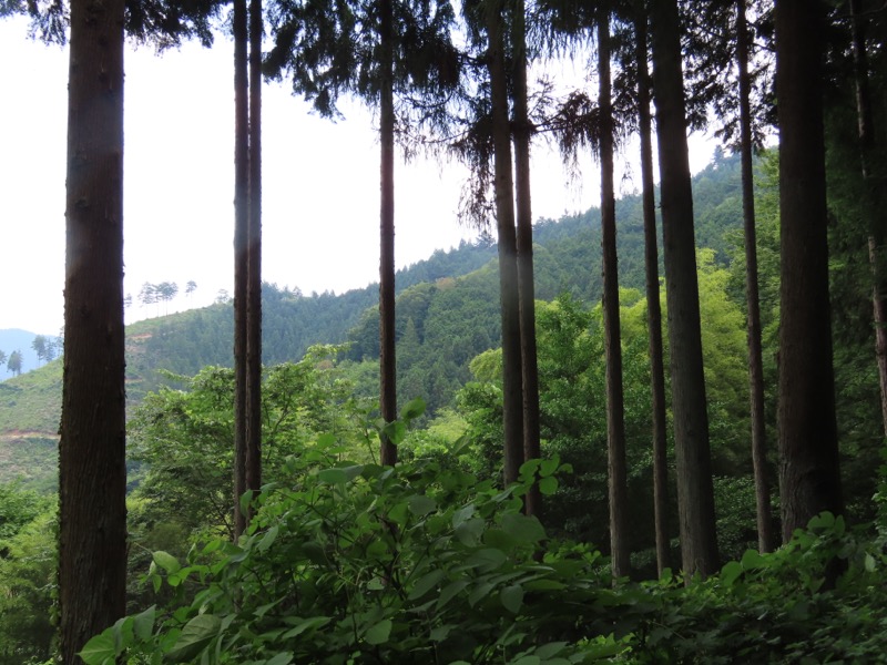 笹尾根、丸山、笛吹峠