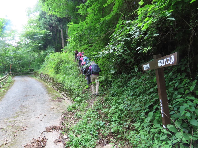 笹尾根、丸山、笛吹峠