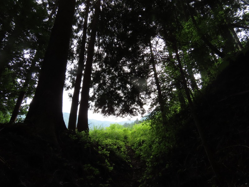 笹尾根、丸山、笛吹峠