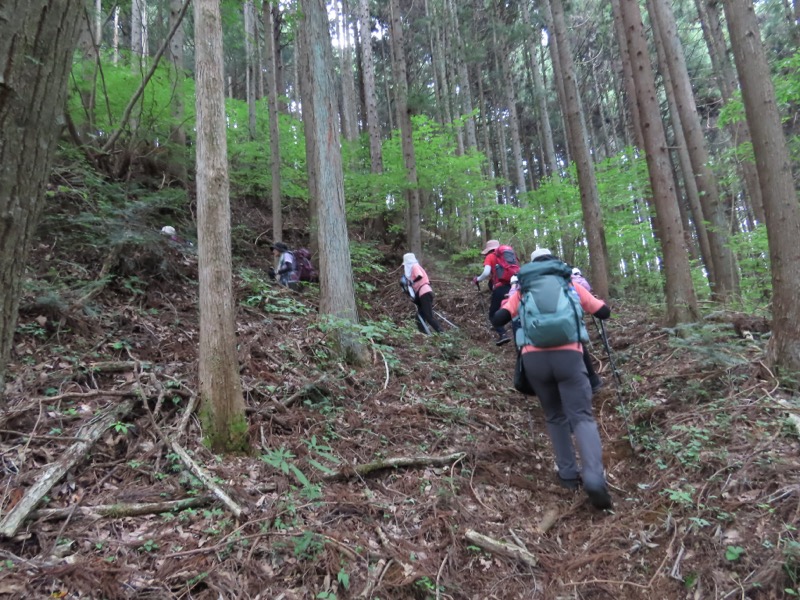 笹尾根、丸山、笛吹峠