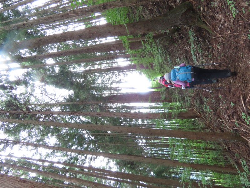 笹尾根、丸山、笛吹峠