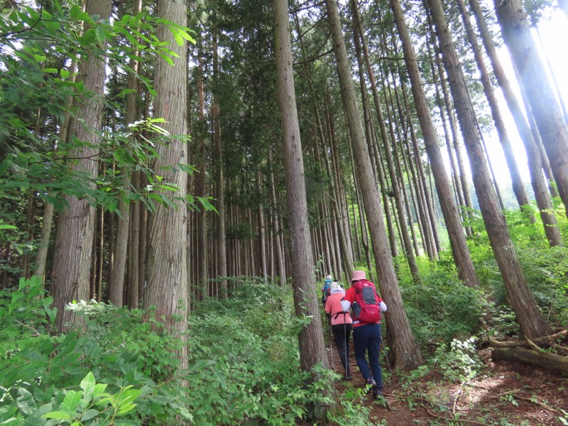 笹尾根、丸山、笛吹峠