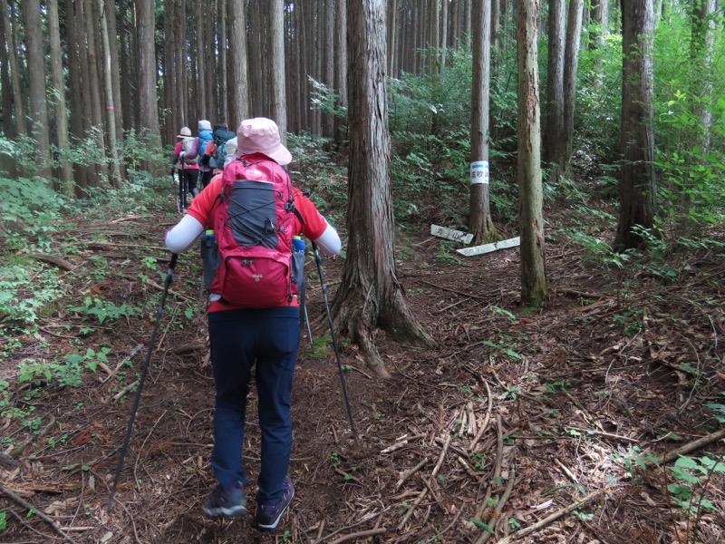 笹尾根、丸山、笛吹峠