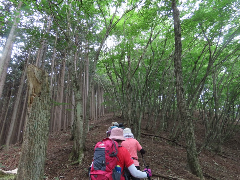 笹尾根、丸山、笛吹峠