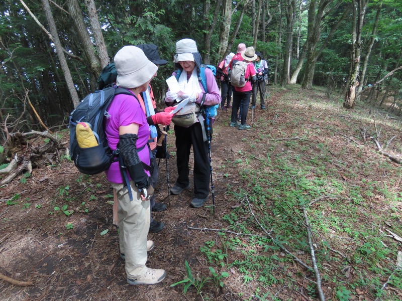 笹尾根、丸山、笛吹峠