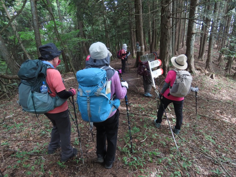 笹尾根、丸山、笛吹峠