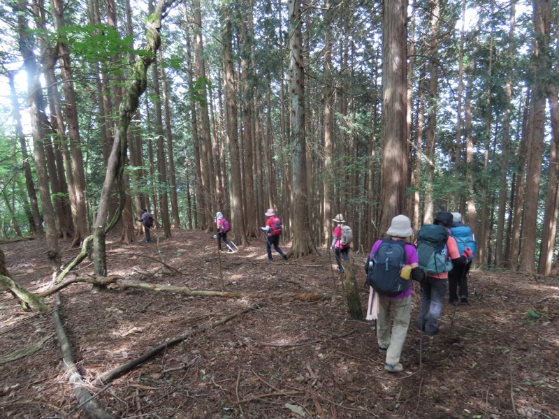 笹尾根、丸山、笛吹峠