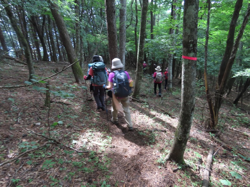 笹尾根、丸山、笛吹峠