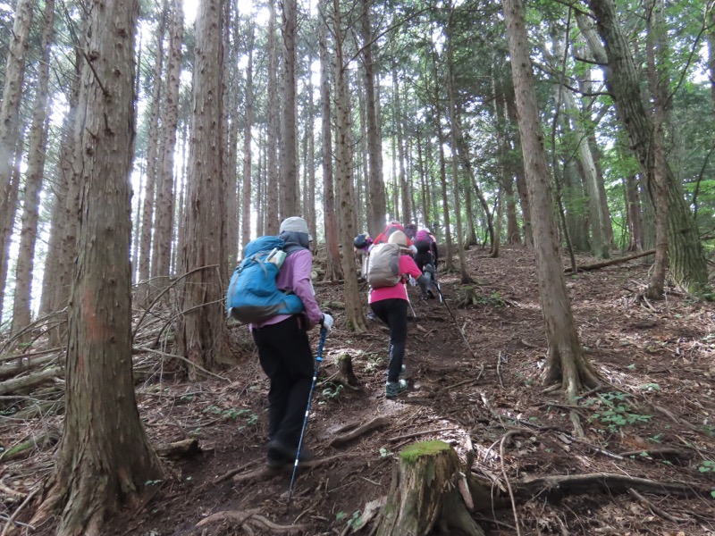 笹尾根、丸山、笛吹峠