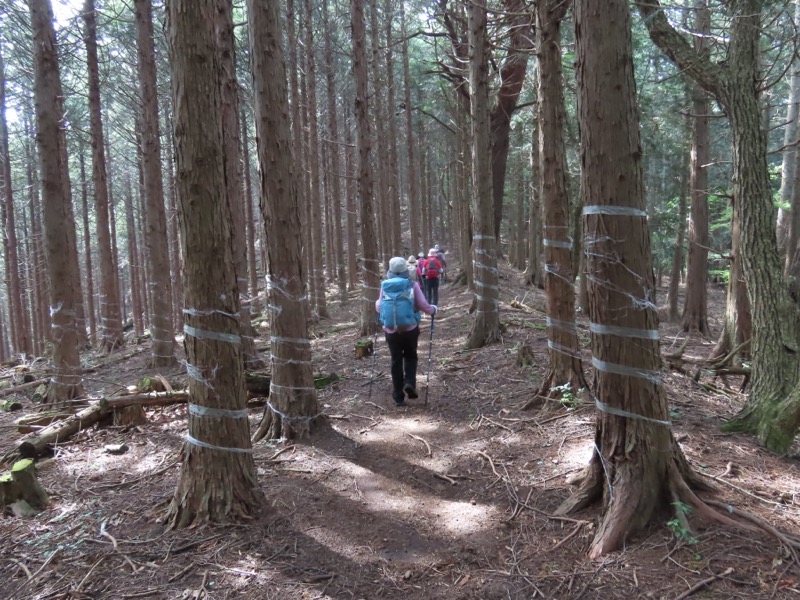 笹尾根、丸山、笛吹峠