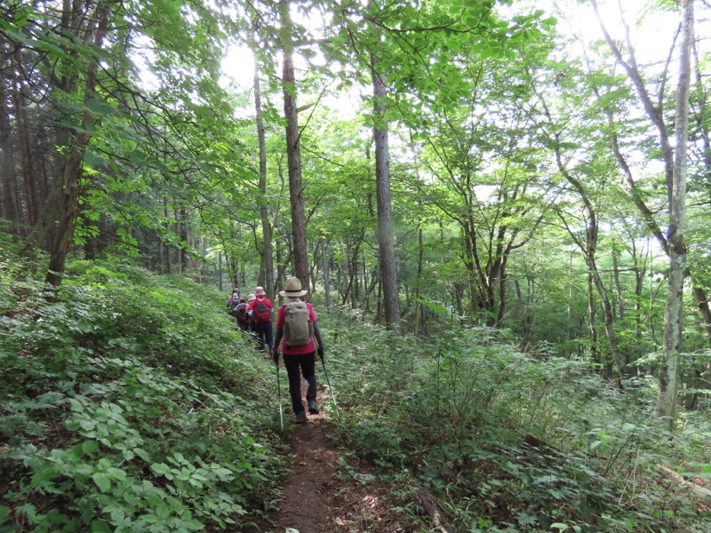 笹尾根、丸山、笛吹峠