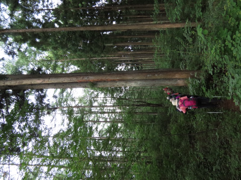 笹尾根、丸山、笛吹峠