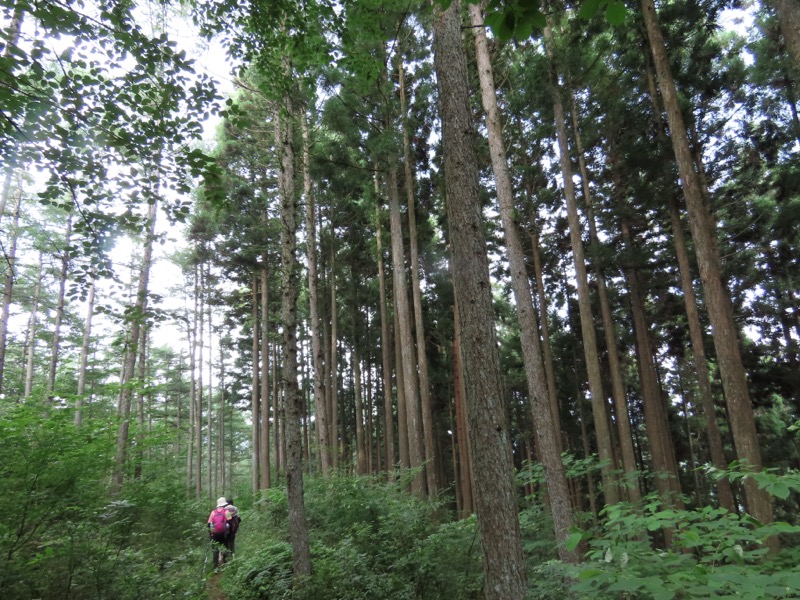 笹尾根、丸山、笛吹峠