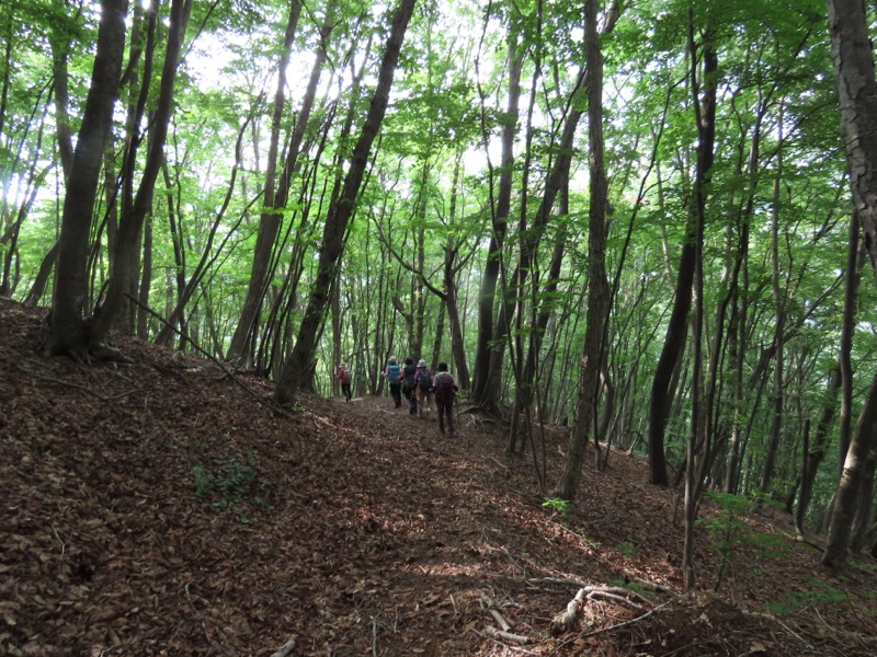 笹尾根、丸山、笛吹峠