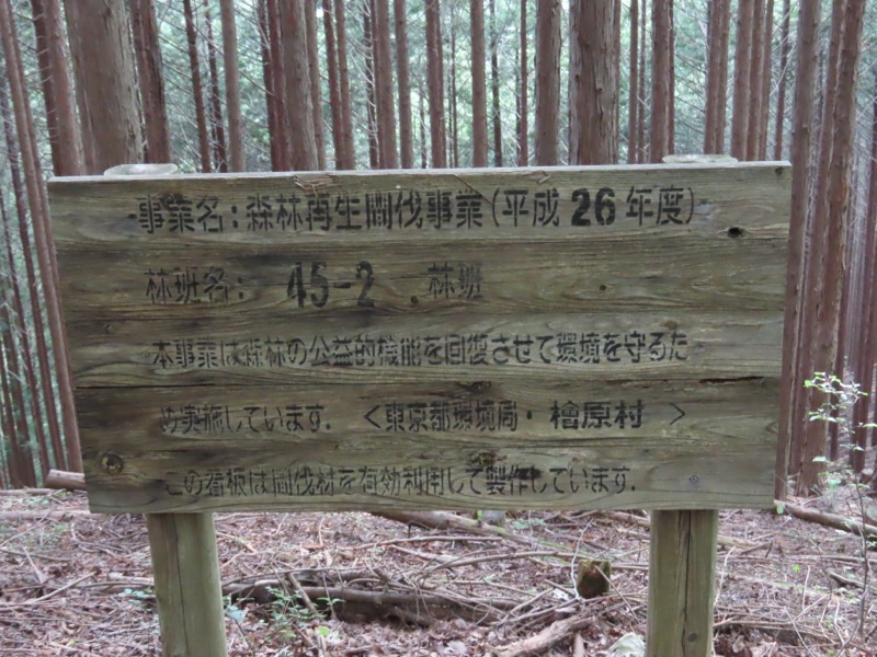 笹尾根、丸山、笛吹峠