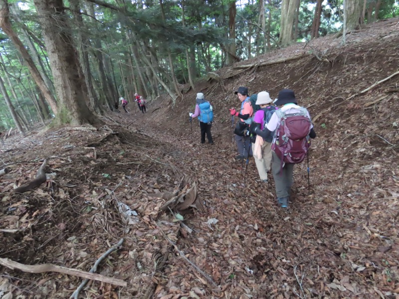 笹尾根、丸山、笛吹峠