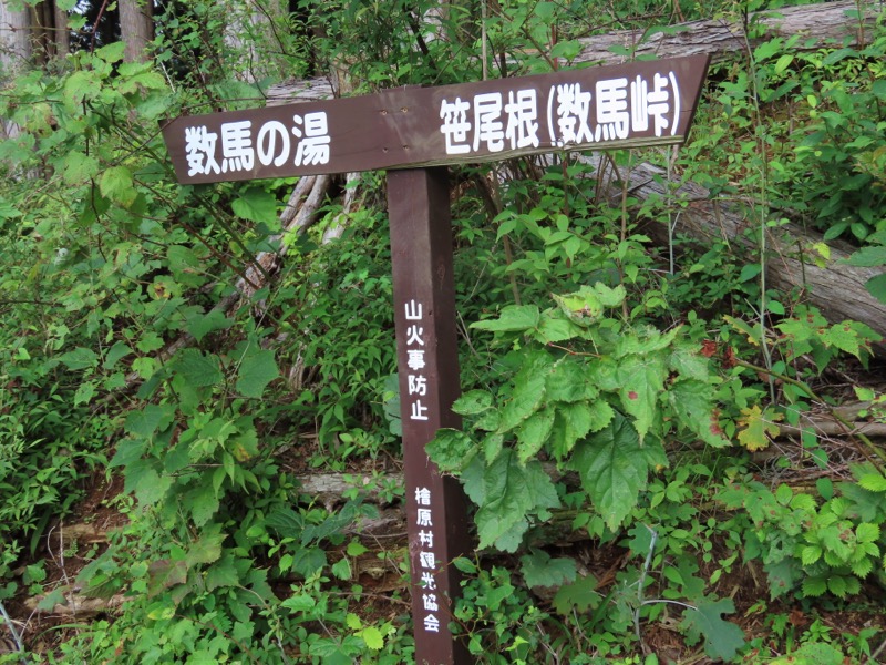 笹尾根、丸山、笛吹峠