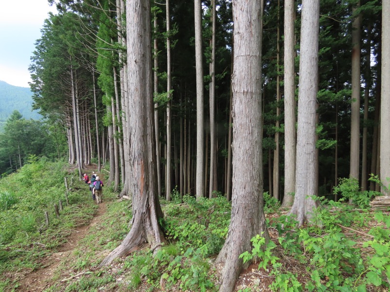 笹尾根、丸山、笛吹峠