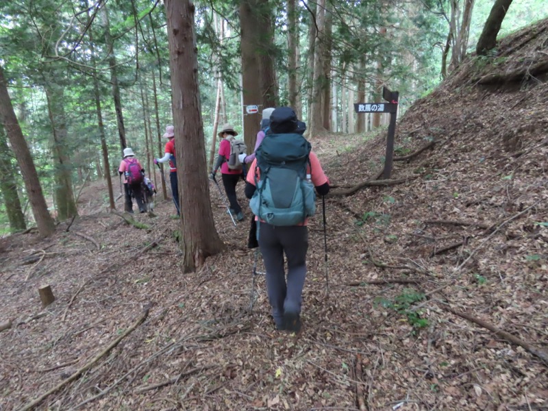 笹尾根、丸山、笛吹峠