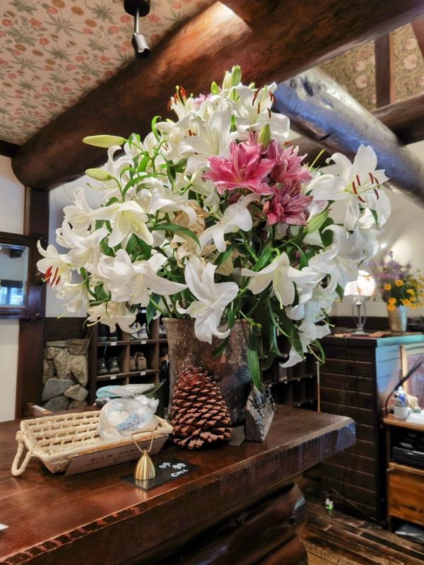 蝶ヶ岳、上高地右岸歩道