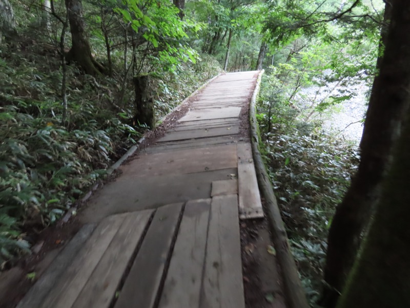 蝶ヶ岳、上高地右岸歩道
