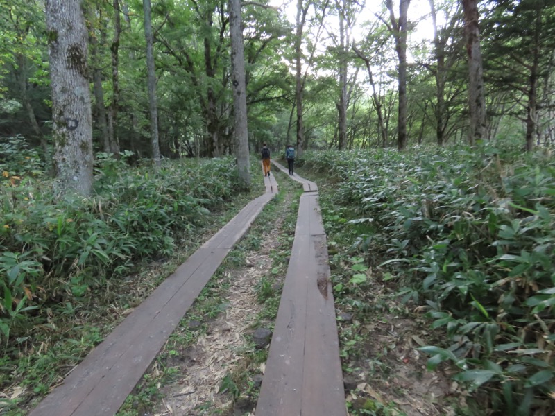蝶ヶ岳、上高地右岸歩道