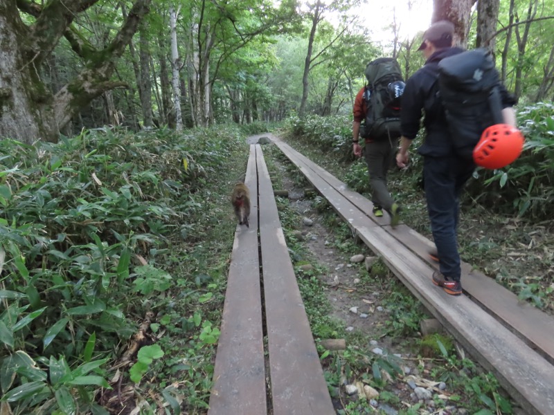 蝶ヶ岳、上高地右岸歩道