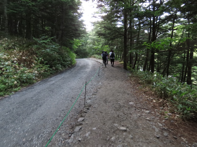 蝶ヶ岳、上高地右岸歩道