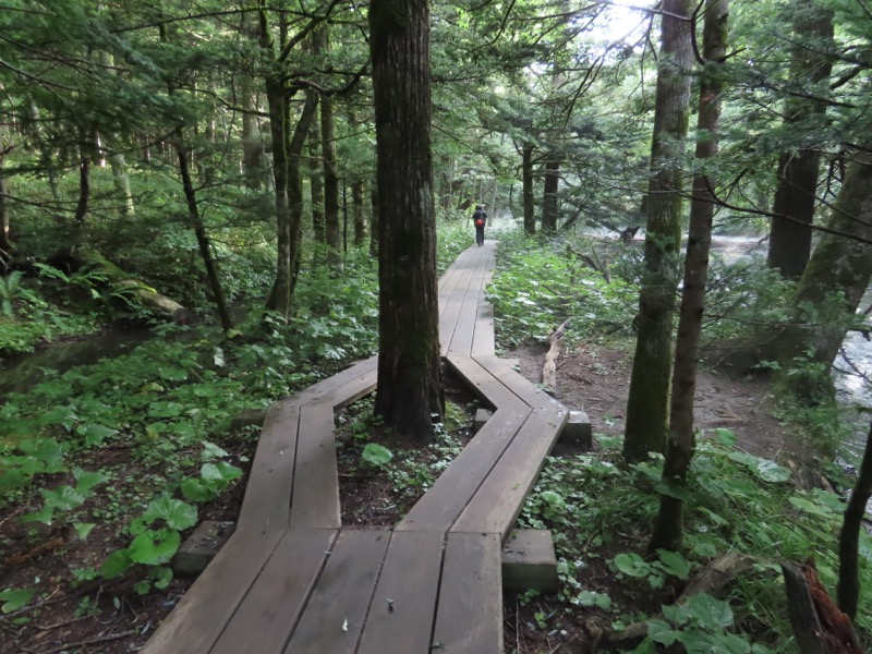 蝶ヶ岳、上高地右岸歩道