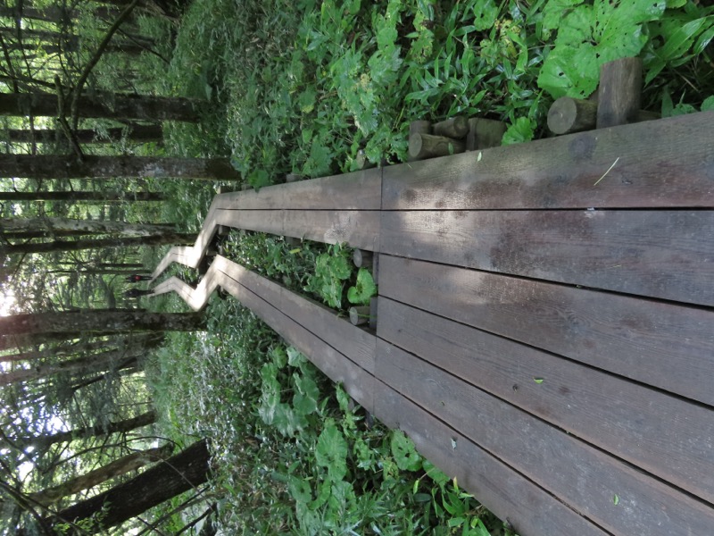 蝶ヶ岳、上高地右岸歩道