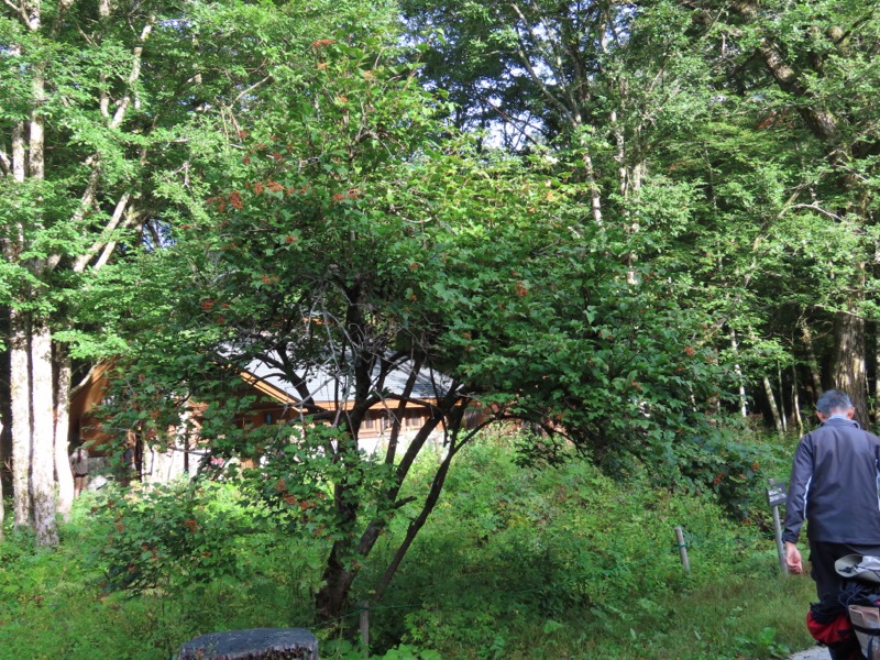 蝶ヶ岳、上高地右岸歩道