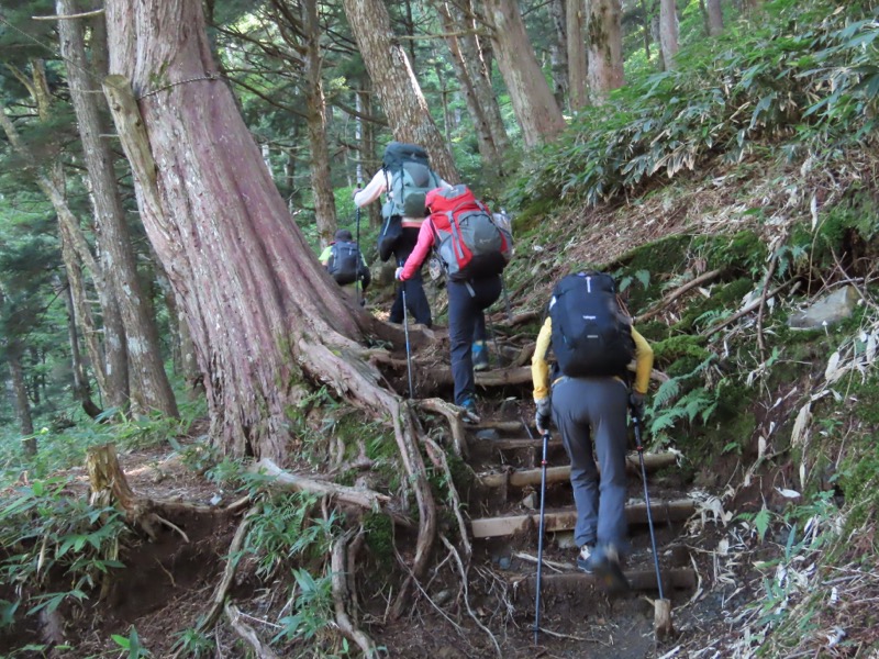 蝶ヶ岳、上高地右岸歩道