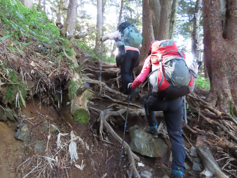 蝶ヶ岳、上高地右岸歩道