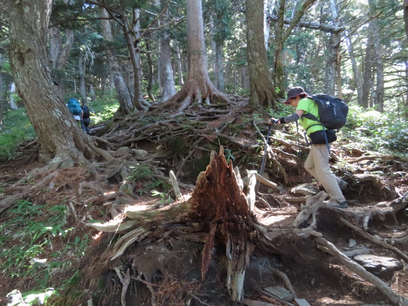 蝶ヶ岳、上高地右岸歩道
