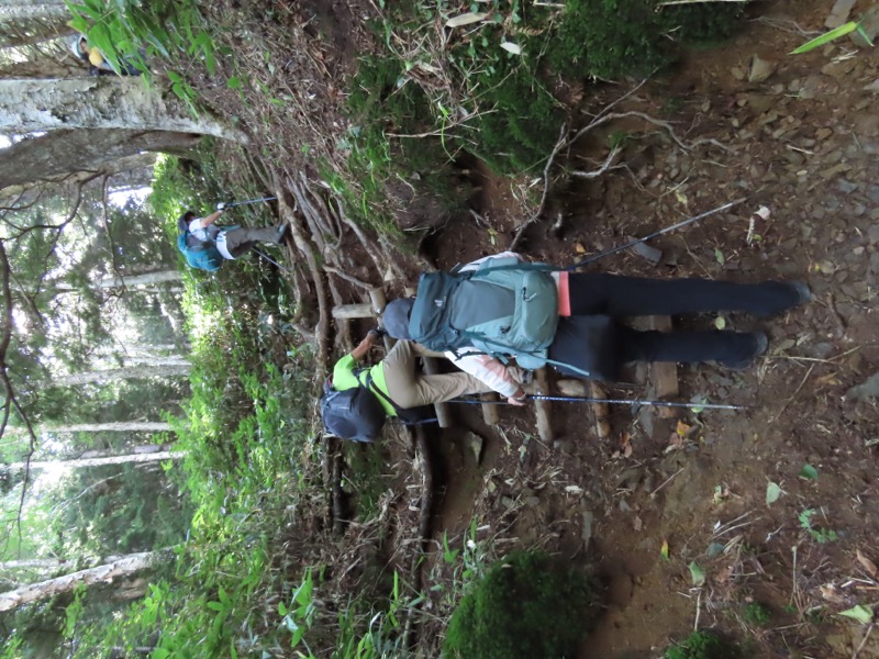 蝶ヶ岳、上高地右岸歩道