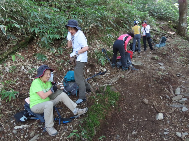 蝶ヶ岳、上高地右岸歩道