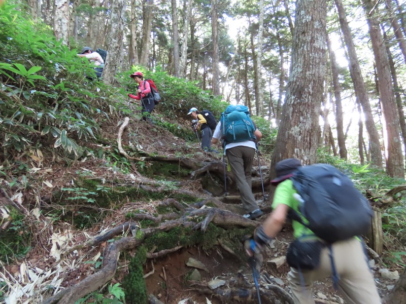 蝶ヶ岳、上高地右岸歩道