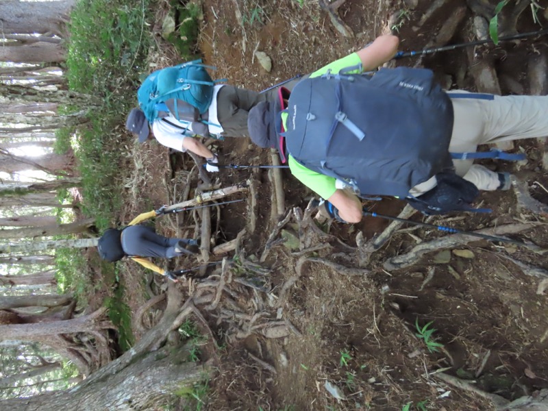 蝶ヶ岳、上高地右岸歩道