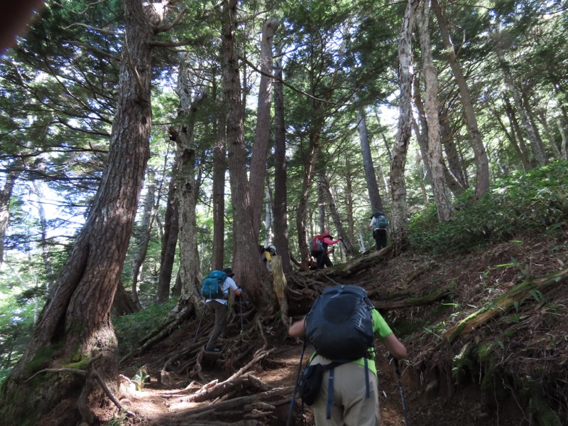蝶ヶ岳、上高地右岸歩道