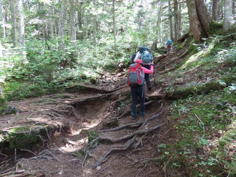 蝶ヶ岳、上高地右岸歩道