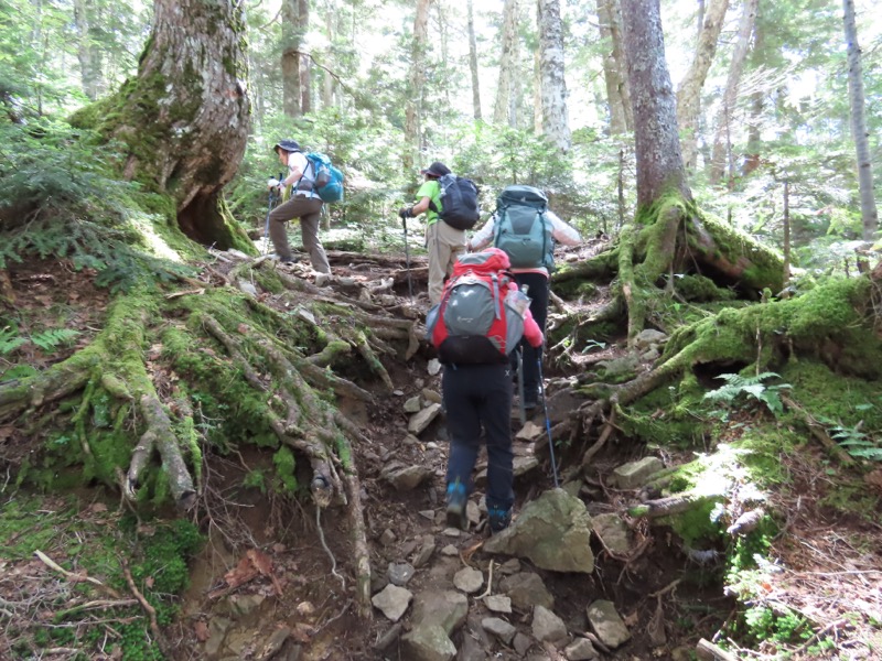 蝶ヶ岳、上高地右岸歩道