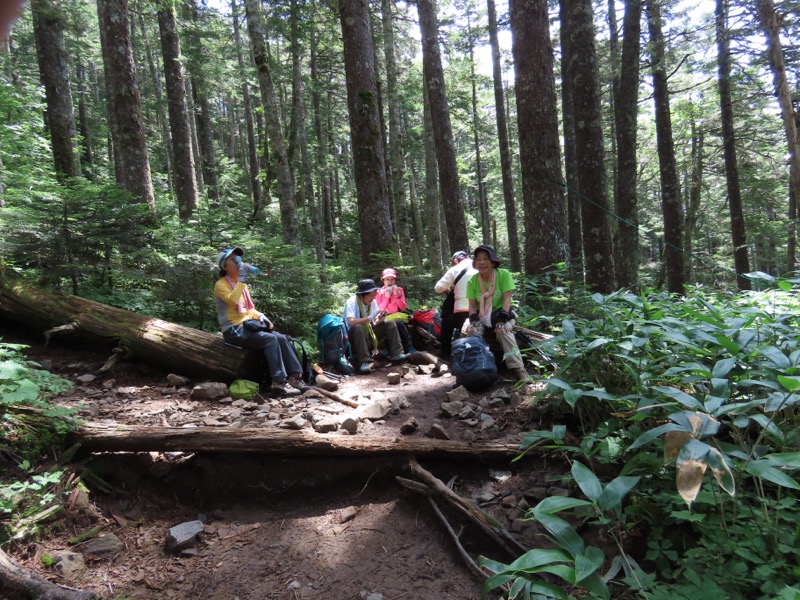 蝶ヶ岳、上高地右岸歩道